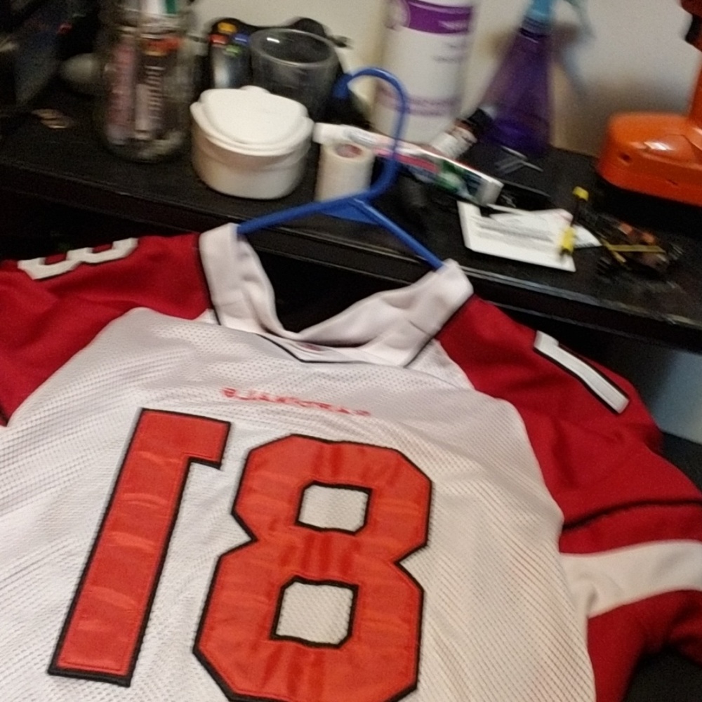 Cardinals Boldin Reebok jersey